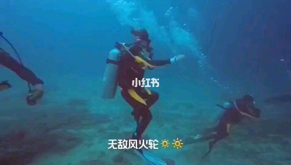 栅栏迷宫